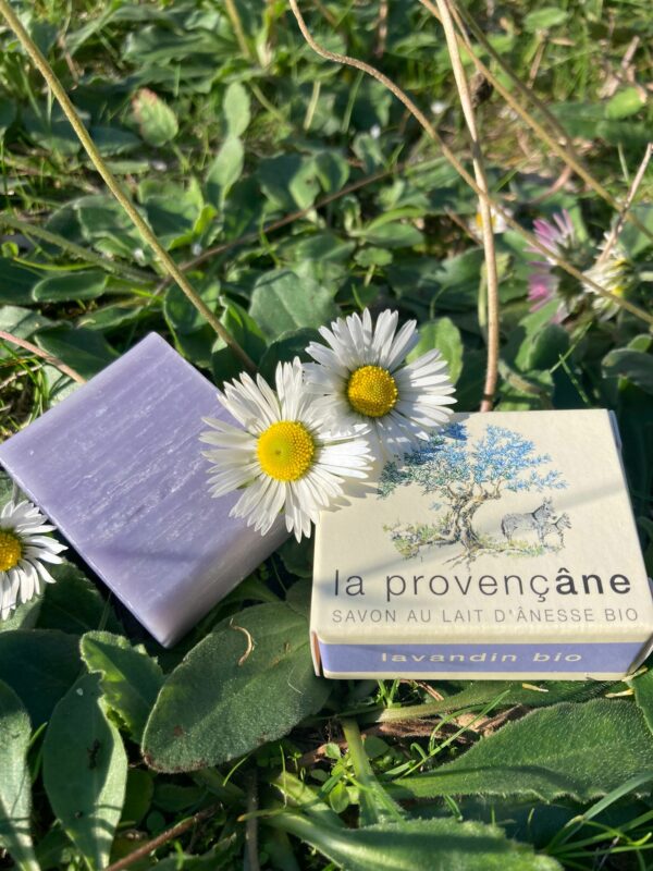 Savon au lait d'ânesse biologique 25 g - Lavandin bio