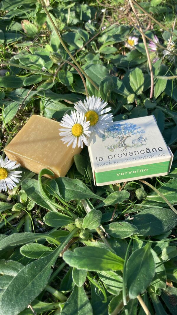 Savon au lait d'ânesse biologique 25 g - Verveine